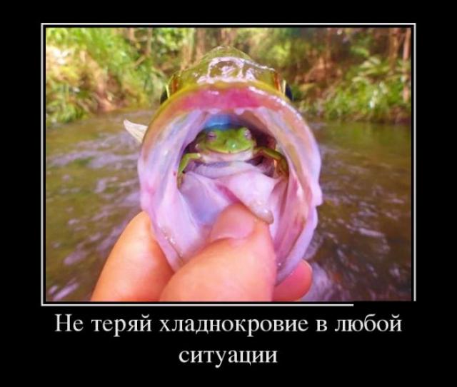 Демотиваторы (30 фото)