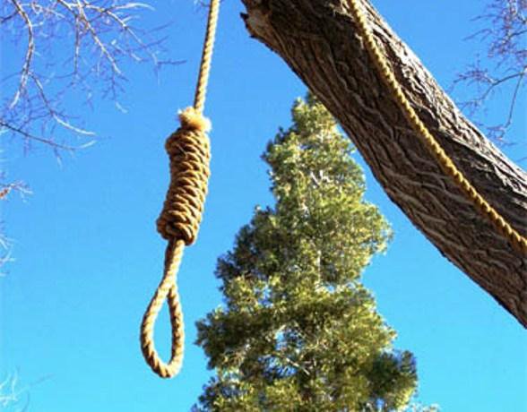 Милицейский палач бойни в Мариуполе повешен на осине