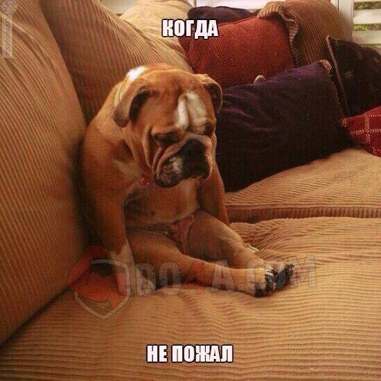 Весёлые картинки от Do4a.com