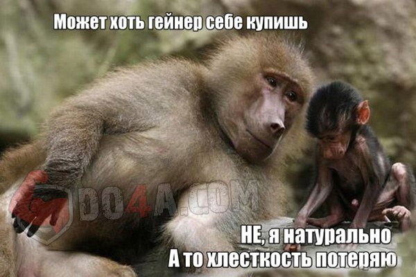 Весёлые картинки от Do4a.com
