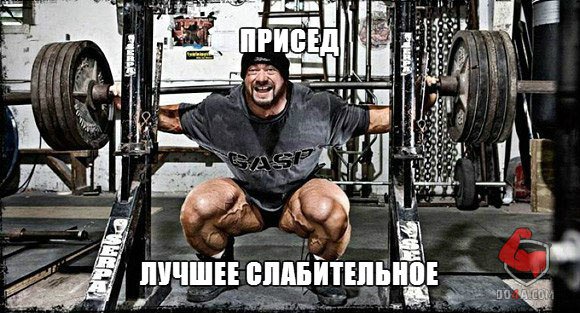 Весёлые картинки от Do4a.com