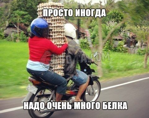 Весёлые картинки от Do4a.com