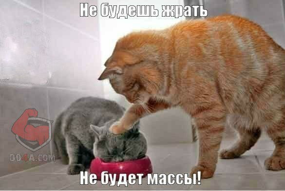 Весёлые картинки от Do4a.com