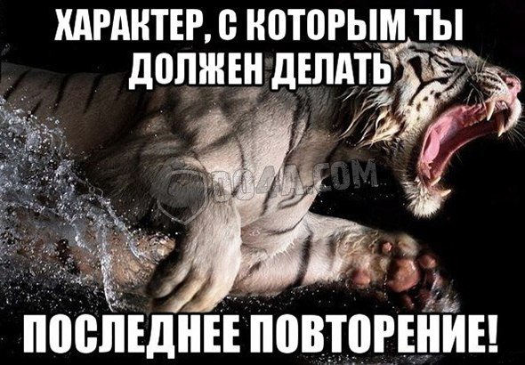 Весёлые картинки от Do4a.com