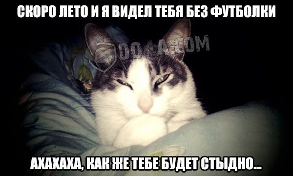 Весёлые картинки от Do4a.com