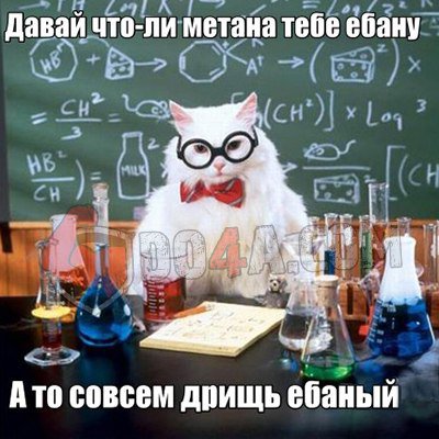 Весёлые картинки от Do4a.com