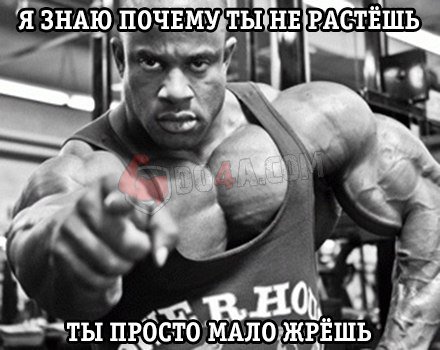 Весёлые картинки от Do4a.com