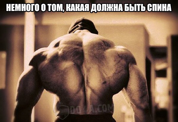 Весёлые картинки от Do4a.com