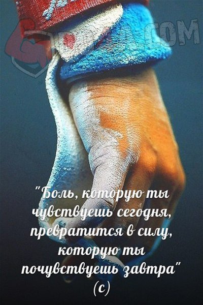 Весёлые картинки от Do4a.com