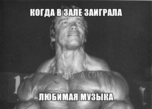 Весёлые картинки от Do4a.com