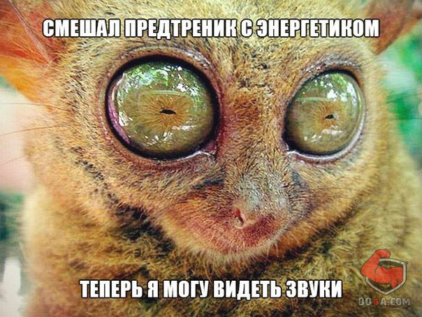 Весёлые картинки от Do4a.com