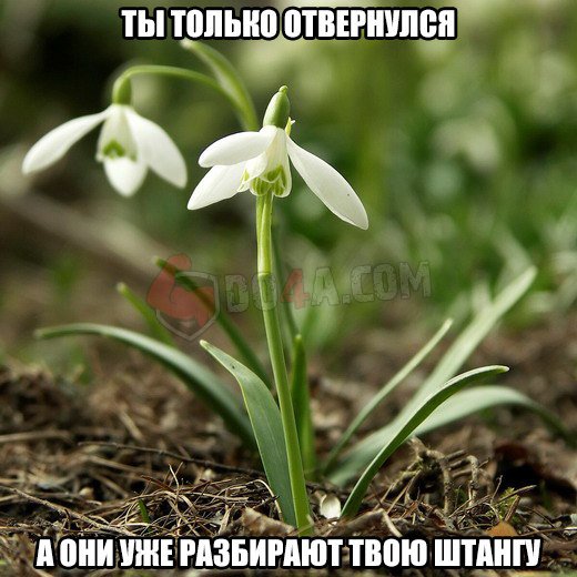 Весёлые картинки от Do4a.com