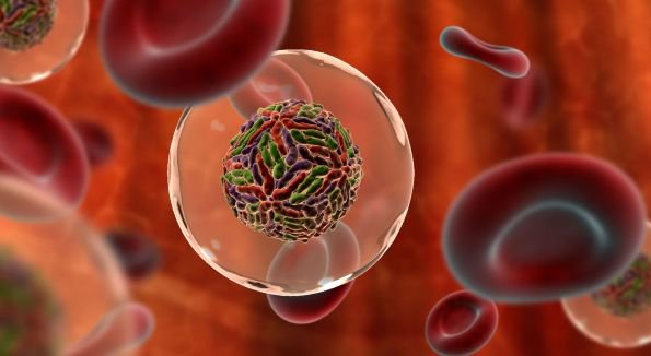 Беспрецедентный случай: в США раковую больную излечили вирусом кори