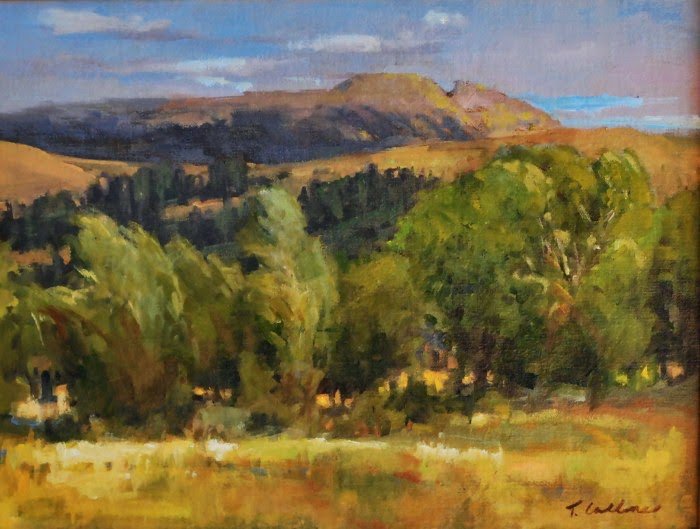 Рисует Tammy Callens