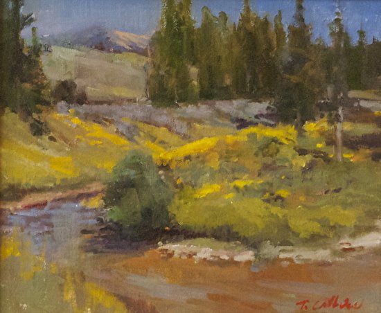 Рисует Tammy Callens