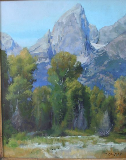 Рисует Tammy Callens