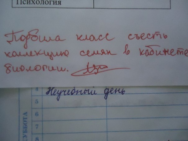 Учительские перлы из школьных дневников