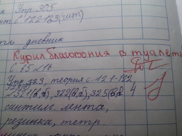 Учительские перлы из школьных дневников