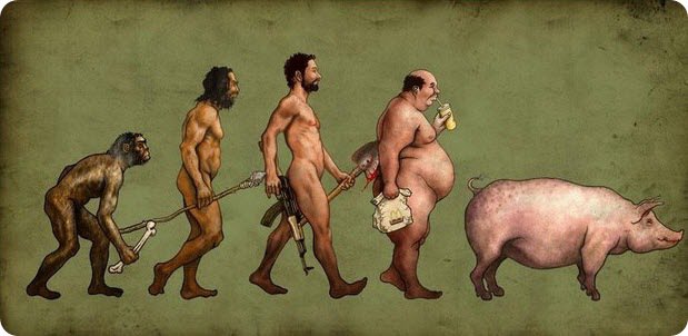 Загадка "морских пришельцев": американские ученые опровергли теорию эволюции Загадка "морских пришельцев": американские ученые опровергли теорию эволюции