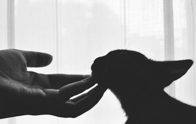 Источник аутизма может находиться в коже Источник аутизма может находиться в коже