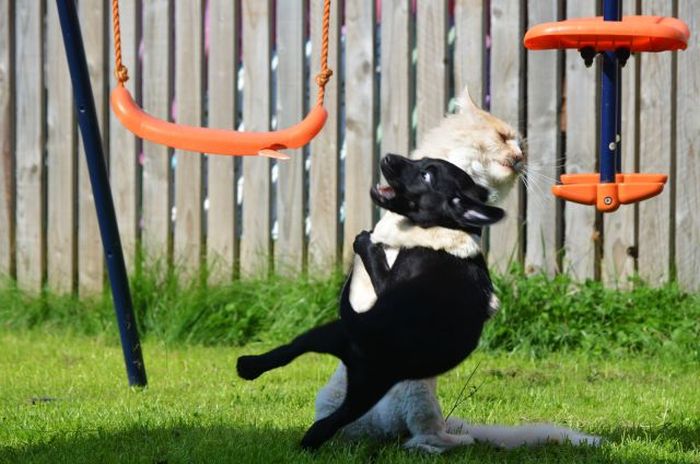 Девушки бывают разные