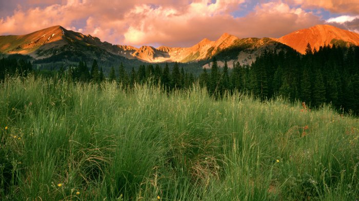 Обои на рабочий стол / Beautiful Nature Wallpapers 80