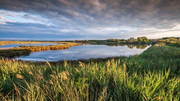 Обои на рабочий стол / Beautiful Nature Wallpapers 80