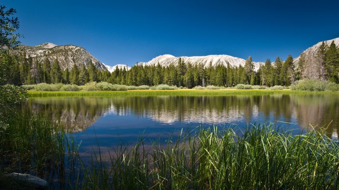 Обои на рабочий стол / Beautiful Nature Wallpapers 80