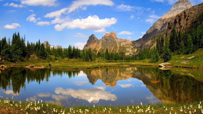 Обои на рабочий стол / Beautiful Nature Wallpapers 80