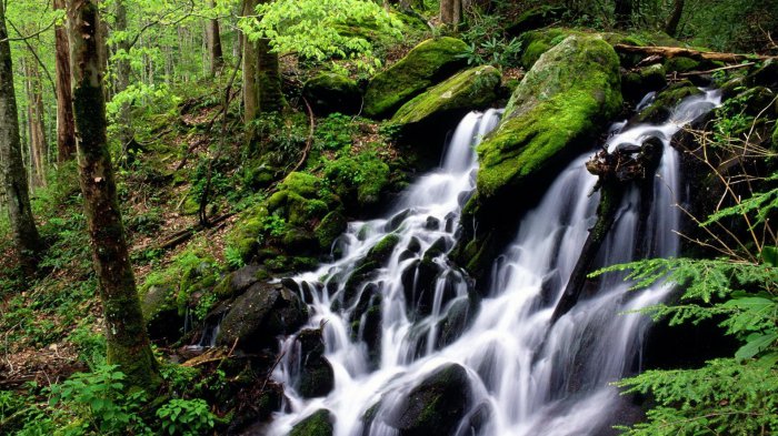 Обои на рабочий стол / Beautiful Nature Wallpapers 80