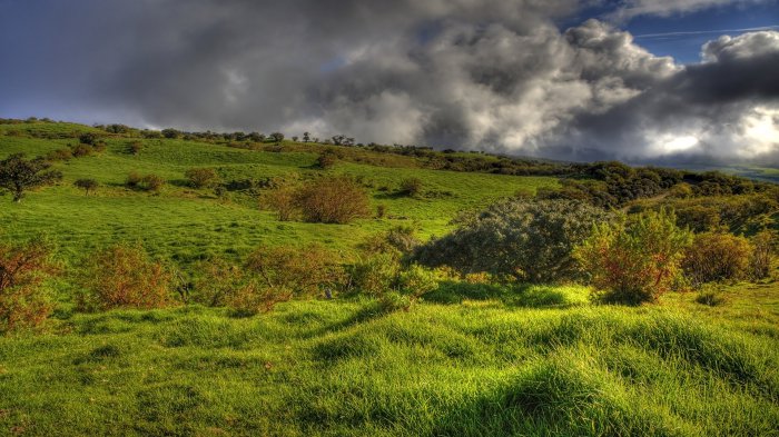 Обои на рабочий стол / Beautiful Nature Wallpapers 80