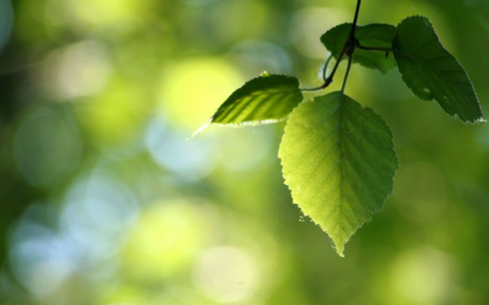 Обои на рабочий стол / Sbornik oboev 29