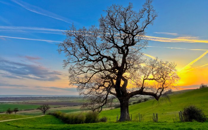 Обои на рабочий стол / Sbornik oboev 29