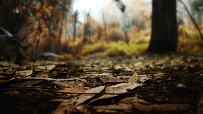 Обои на рабочий стол / Sbornik oboev 29