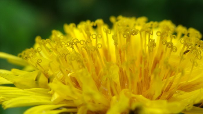 Обои на рабочий стол / Sbornik oboev 29