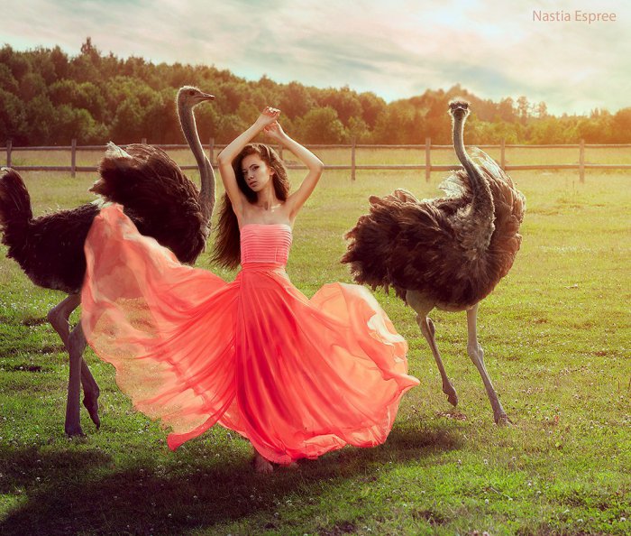 Девушки в платьях (61 фото)