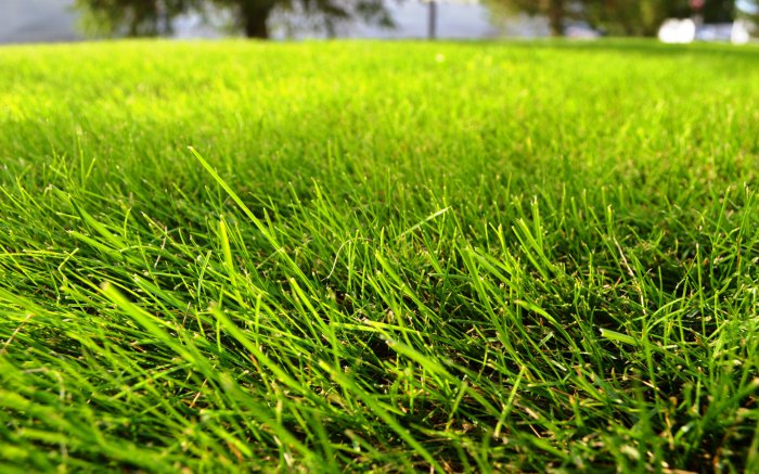 Обои на рабочий стол / Super Wallpapers Pack .140