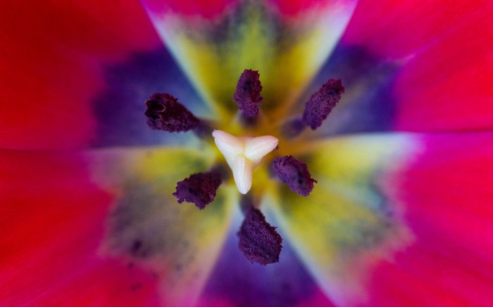 Обои на рабочий стол / Super Wallpapers Pack .140