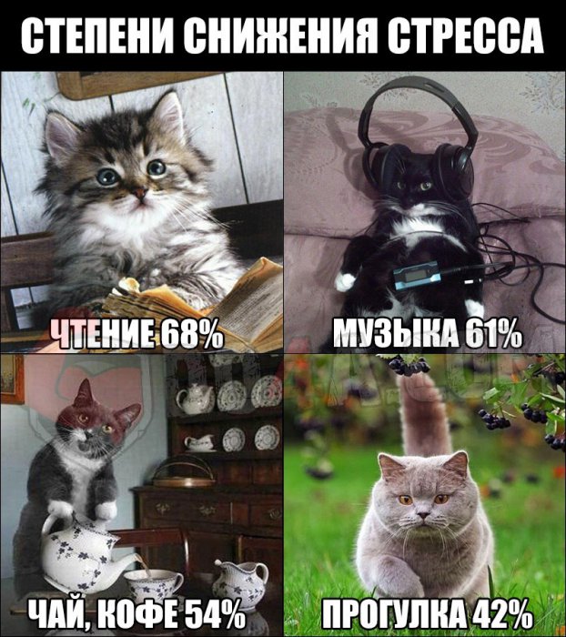 Весёлые картинки от Do4a.com