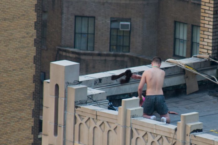 Когда очень хочется