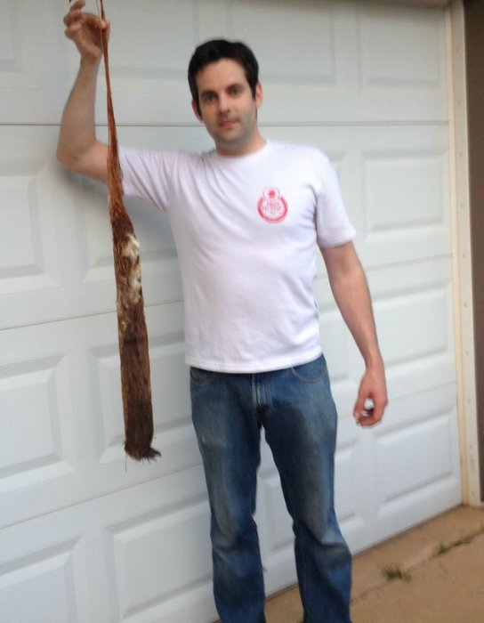 Загадка забитого стока в душе