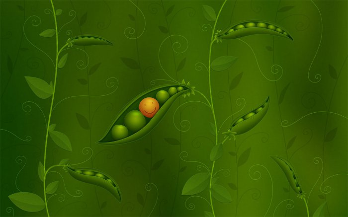 Обои на рабочий стол / Wallpapers HQ Mix 595