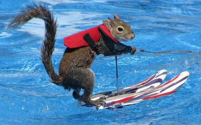 Обои на рабочий стол / Wallpapers HQ Mix 595