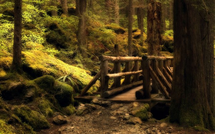 Обои на рабочий стол / Wallpapers HQ Mix 603