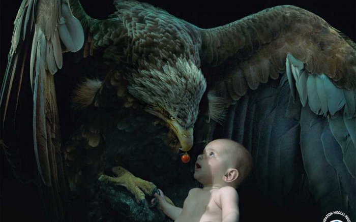 Обои на рабочий стол / Wallpapers HQ Mix 603