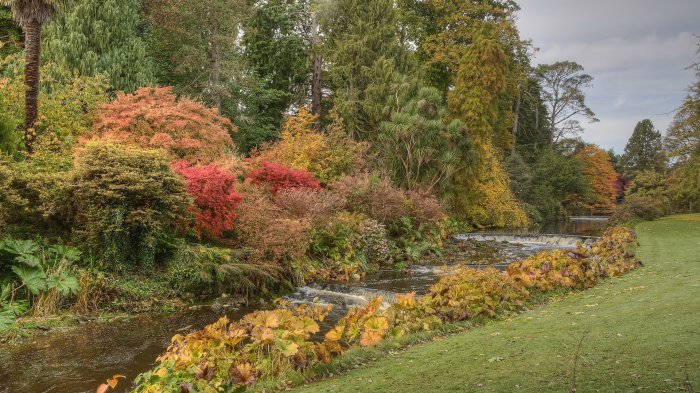 Обои на рабочий стол / HD Computer Wallpaper 51