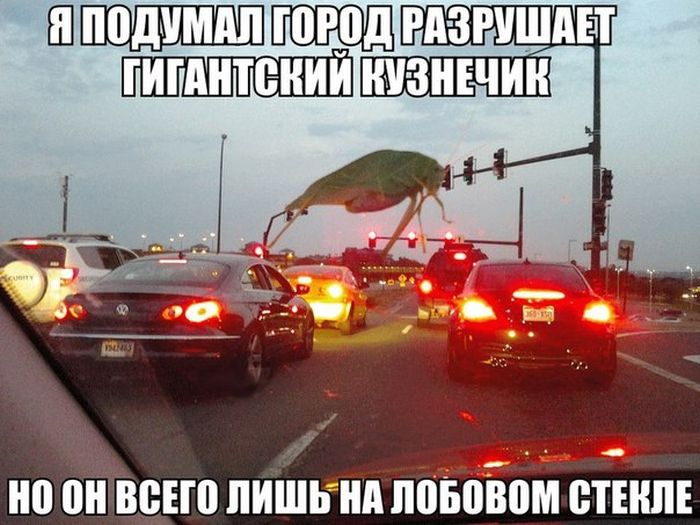 Автоприколы (25 фото)