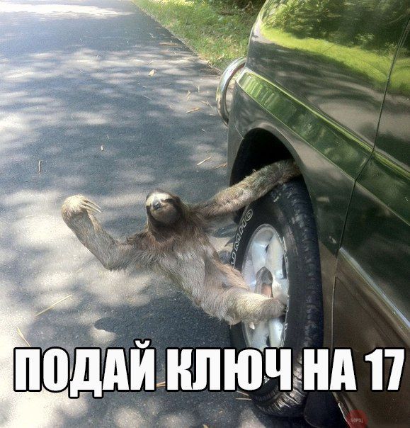 Автоприколы (25 фото)