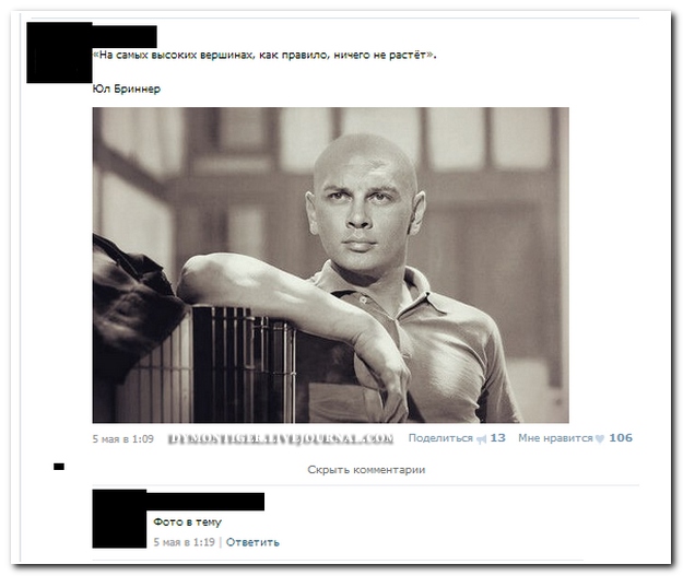 Смешные комментарии из социальных сетей (40 фото)