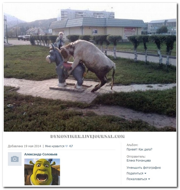 Смешные комментарии из социальных сетей (40 фото)